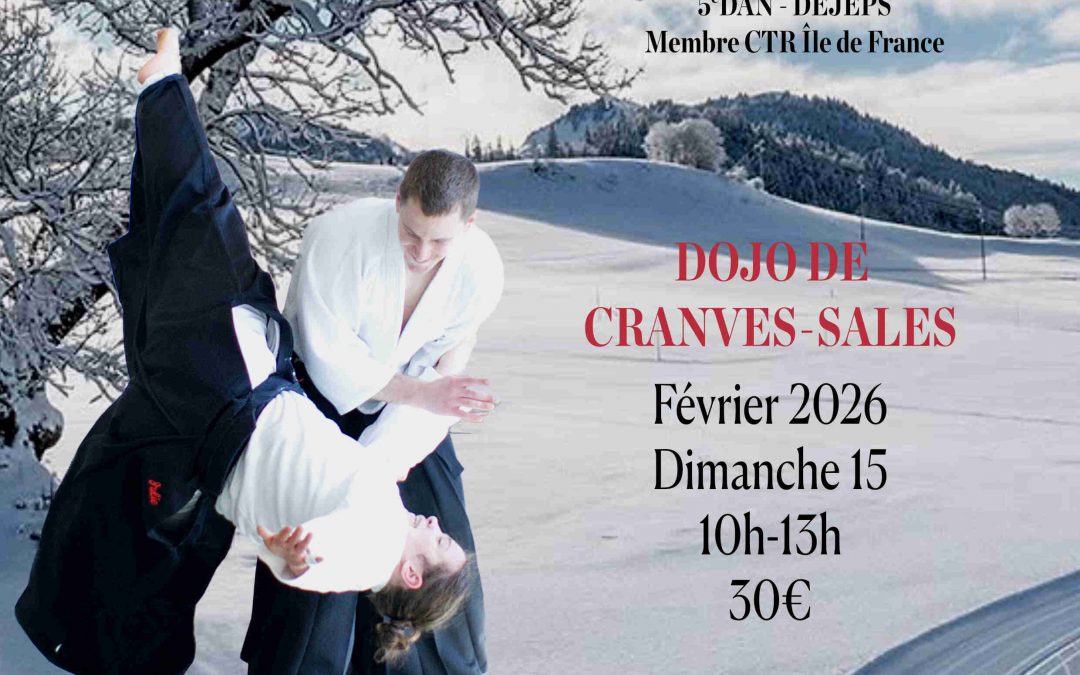 Stage François Pichereau 5e dan